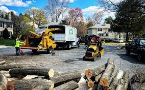 Best Firewood Processing and Delivery  in Tehachapi, CA